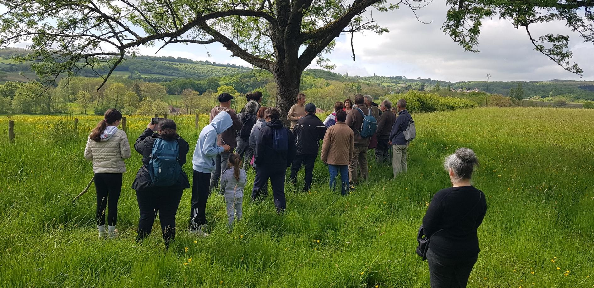 Marche du Comité des fêtes